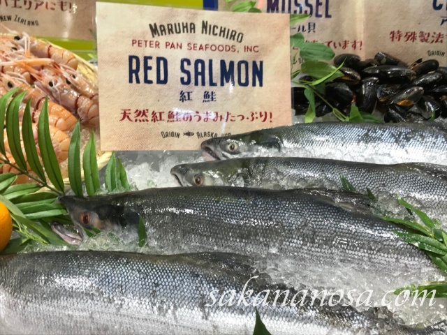 生紅鮭ラウンド