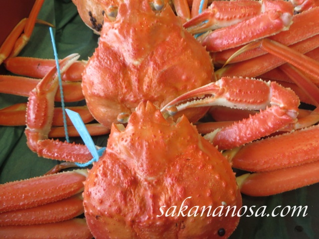 カニの茹で時間 年間カニを茹でてきたプロが正しい茹で方ご案内します さかなのさ 魚美味探求