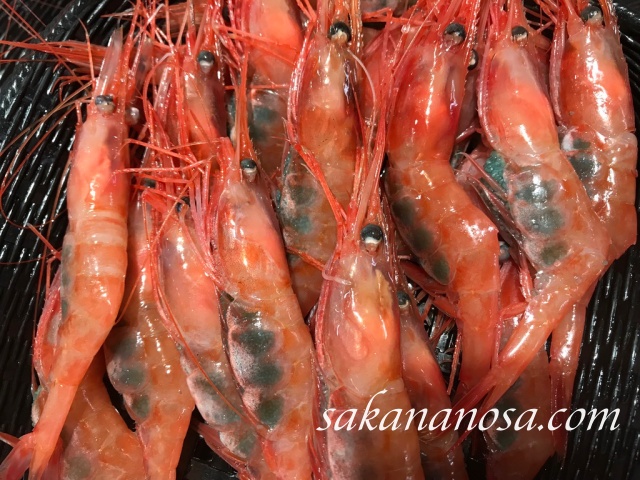 甘エビ ホッコクアカエビ 刺身 北陸にいったら必ず食べてほしい日本海海の幸 さかなのさ 魚美味探求
