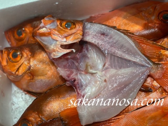 鮮魚部門で買っても使わない高額器機３選 無駄な出費はできるだけ減らしたい さかなのさ 魚美味探求