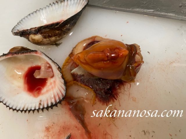 殻から取り出した赤貝の身